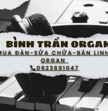 Sửa Chữa Đàn Organ Quận Tân Bình. TPHCM. 0325640877