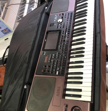 Sửa Đàn Organ Tại Quận 11. 0923691047