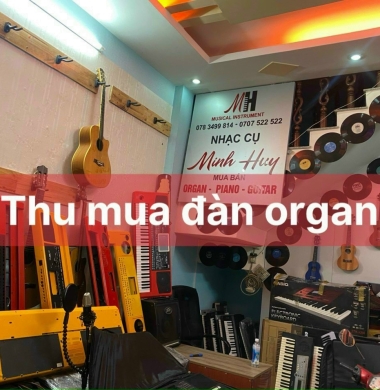 Thu Mua Đàn Bình Dương. 0707522522