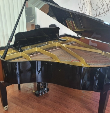 THU ĐÀN PIANO CƠ QUẬN 2. 0707522522