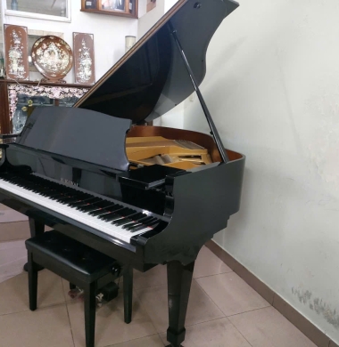 Thu Mua Nhạc Cụ Quận 8. 0707522522