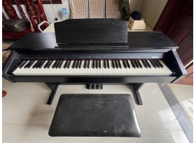 Thu Mua Nhạc Cụ Cũ Quận 2. 07075225222