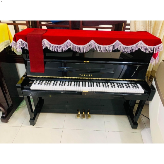 Thu Mua Đàn Piano Cũ Quận Thủ Đức. 0707522522